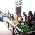Organic Bazar by Zoology Department